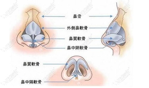 长沙罗亮鼻综合技术图