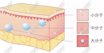 玻尿酸大小分子区别