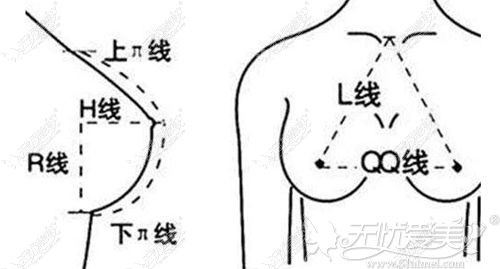 合肥华美假体隆胸手术美学参考