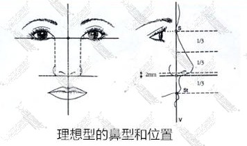 完美鼻型