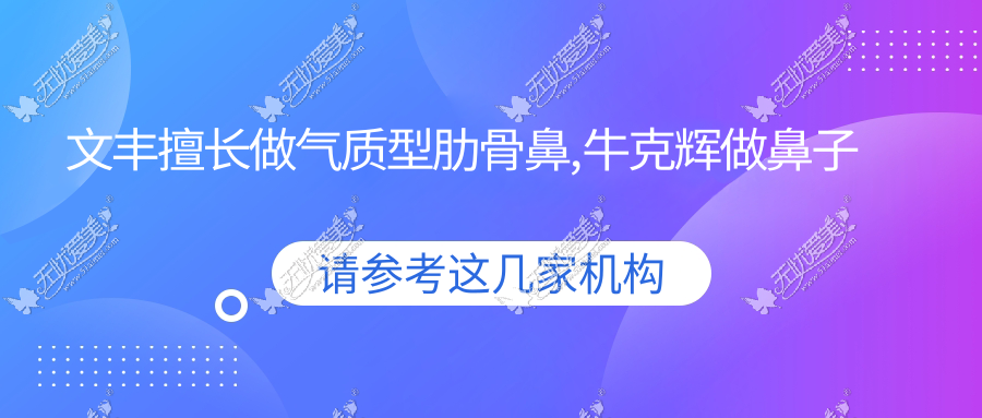 文丰擅长做气质型肋骨鼻,牛克辉做鼻子自然,知道怎么选了吧