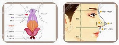 石家庄雅芳亚水滴鼻整形