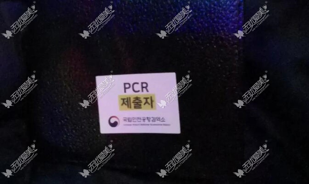 护照上贴“PCR提交者”