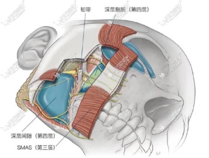 聂云飞拉皮手术技术好@https://h.51aimei.com/